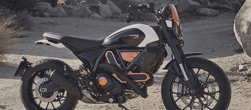 10th Anniversary Rizoma Edition Banner