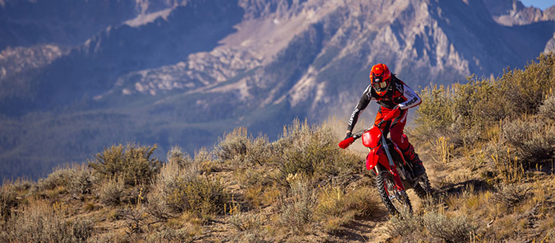 Desmo450 EDX Banner